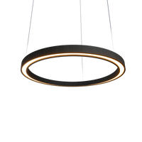 1.57'' Contemporary Frame LED Accord Pendant Light