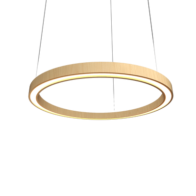 1.57'' Modern Frame LED Accord Pendant Light
