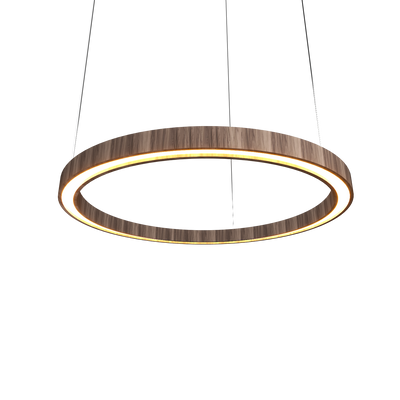 1.57'' Minimalist Frame LED Accord Pendant Light