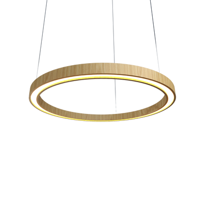 1.57'' Minimalist Frame LED Accord Pendant Light