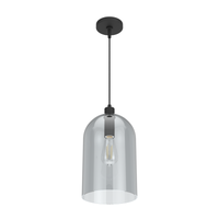Lochemeade 9-inch 1-light Natural Black Iron Pendant with Smoked Glass