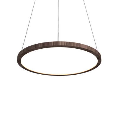 0.98'' Contemporary NaiÃ¡ LED Accord Pendant Light