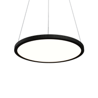 0.98'' Contemporary NaiÃ¡ LED Accord Pendant Light