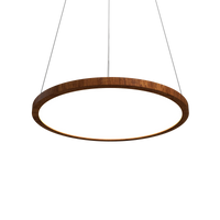 0.98'' Modern NaiÃ¡ LED Accord Pendant Light