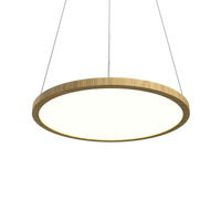 0.98'' Modern NaiÃ¡ LED Accord Pendant Light