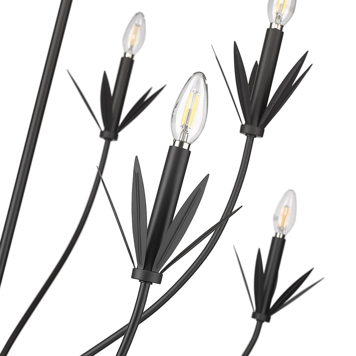 37'' Primrose Matte Black 8 Light Chandelier