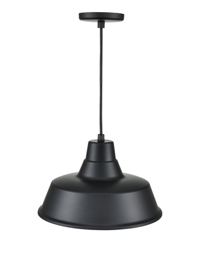 14-inch R Series Satin Black 1-Light Black Glass Pendant Light
