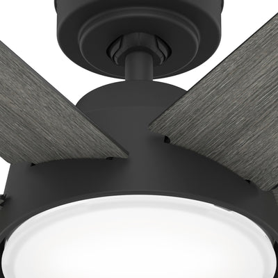 52 inch Donatella Matte Black Ceiling Fan with LED Light Kit and Handheld Remote