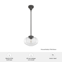 Saddle Creek 10-inch 1-light Noble Bronze Schoolhouse Pendant with Seeded Glass