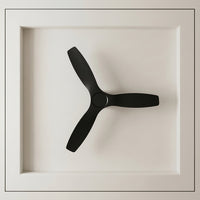 52 Inch Indoor Outdoor DC Black Fan with Remote
