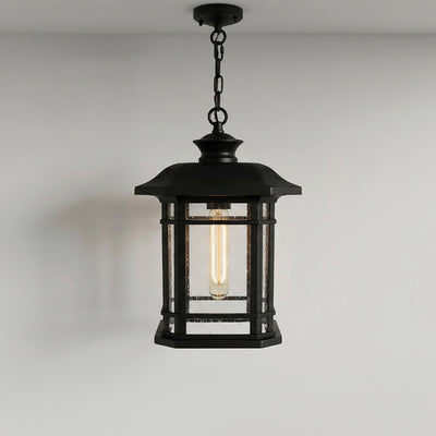 Blackburn 1 Light Black Outdoor Pendant