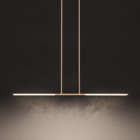 Overture 48-inch 2-light Champagne Gold 5CCT LED Linear Chandelier