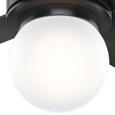 52 inch Hepburn Matte Black Ceiling Fan with LED Light Kit and Wall Control