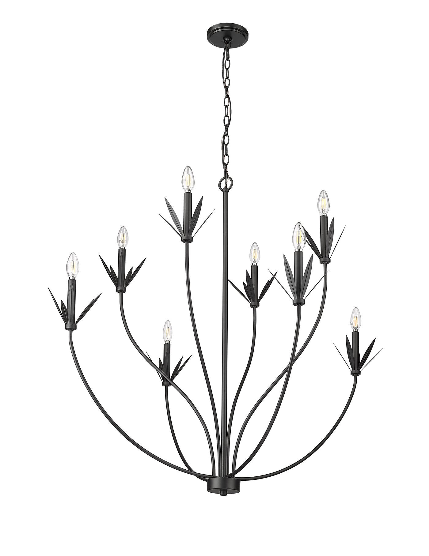37'' Primrose Matte Black 8 Light Chandelier