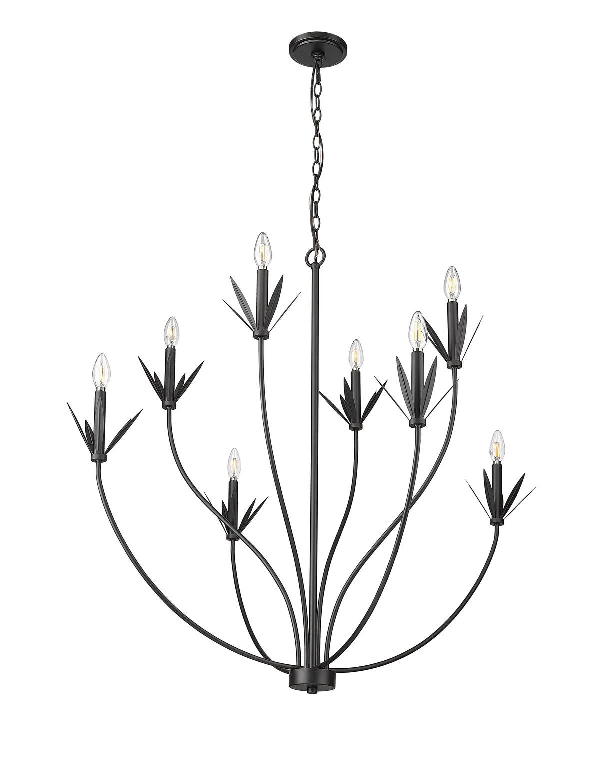 37'' Primrose Matte Black 8 Light Chandelier