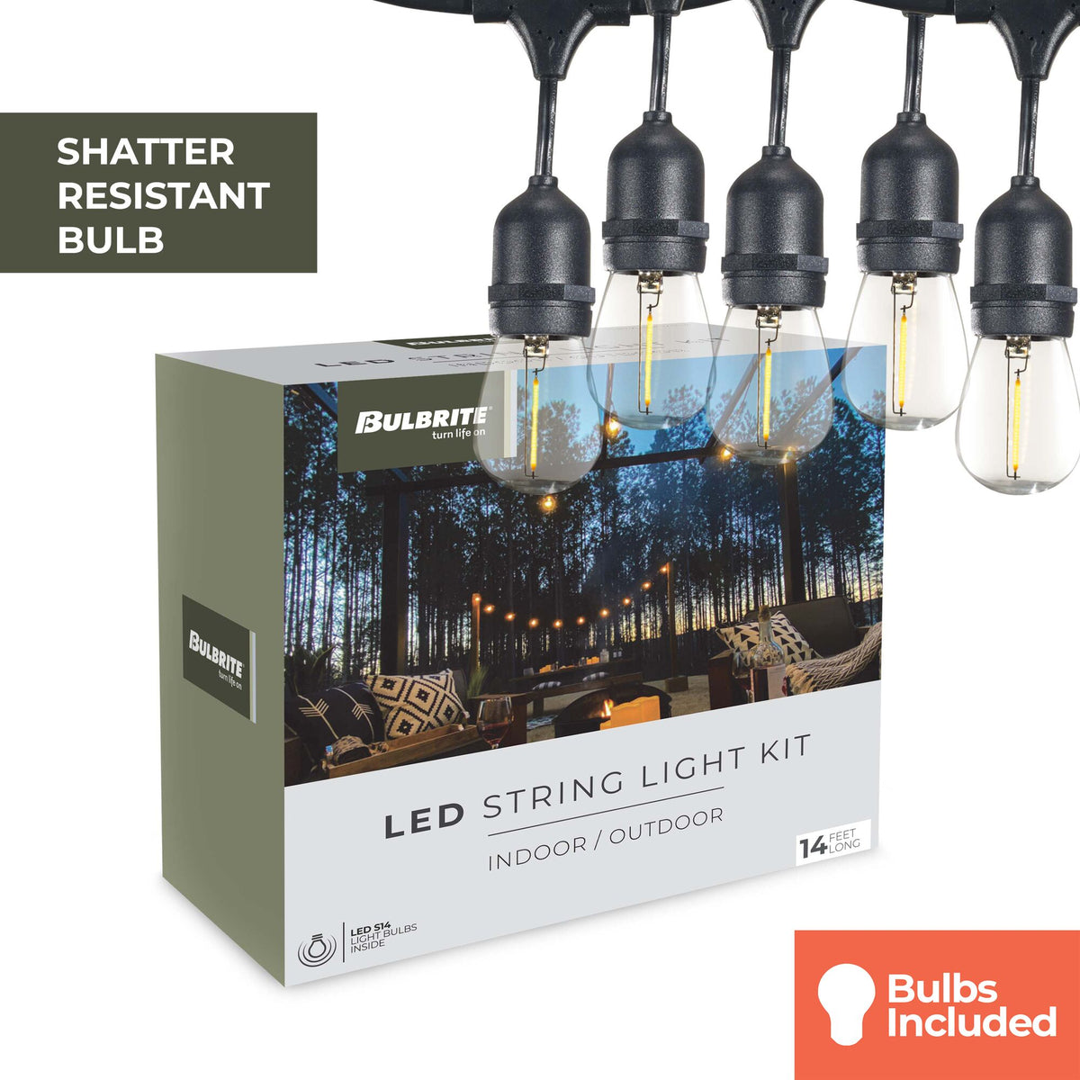 14-foot Black S14 LED String Light Kit with 10 Bulbs, 2700K, 2-Pack