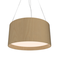 9.84'' Cylindrical Pendant Light