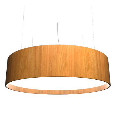 9.84'' Accord Cylindrical Pendant Light