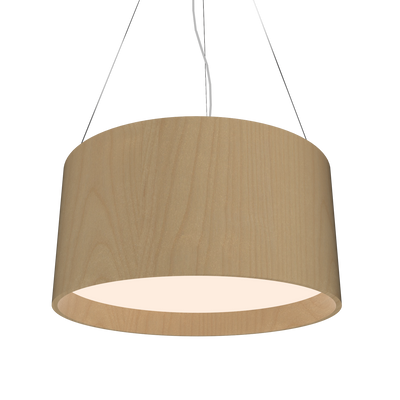 9.84'' Cylindrical LED Accord Pendant