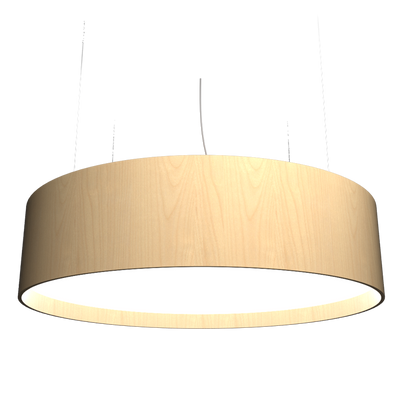 9.84'' Cylindrical Accord LED Pendant Light