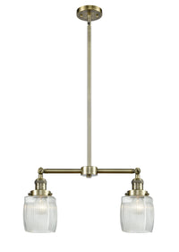 Colton 22-Inch 2-Light Stem-Hung Island Light with LED Bulbs