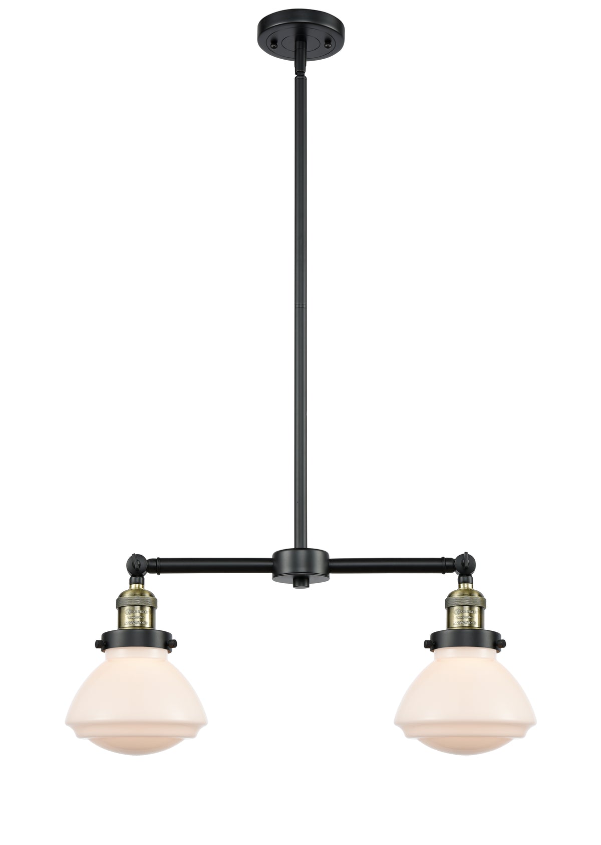 Olean 22-Inch 2-Light Stem-Hung Island Light with LED Bulbs