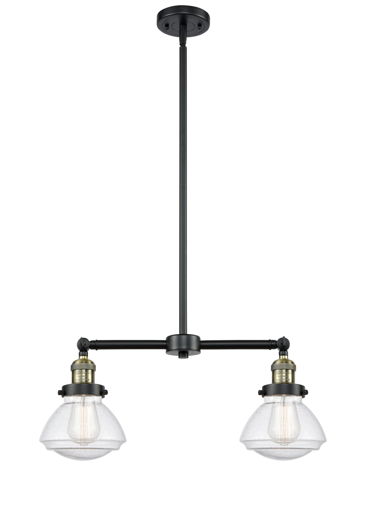 Olean 22-Inch 2-Light Stem-Hung Island Light