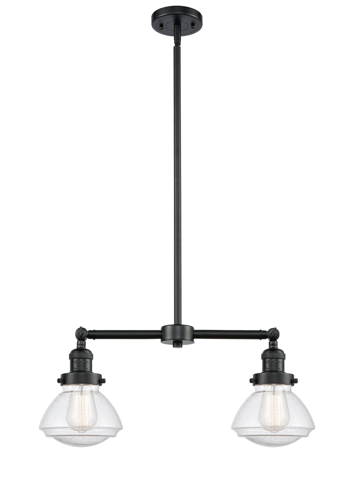 Olean 22-Inch 2-Light Stem-Hung Island Light with LED Bulbs