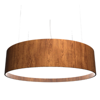 9.84'' Cylindrical Pendant