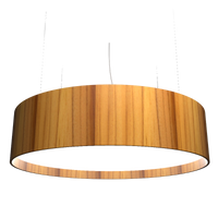 9.84'' Cylindrical Pendant