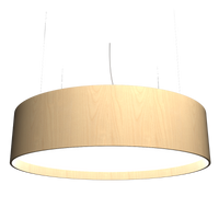 9.84'' Cylindrical Pendant