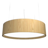 9.84'' Cylindrical Pendant