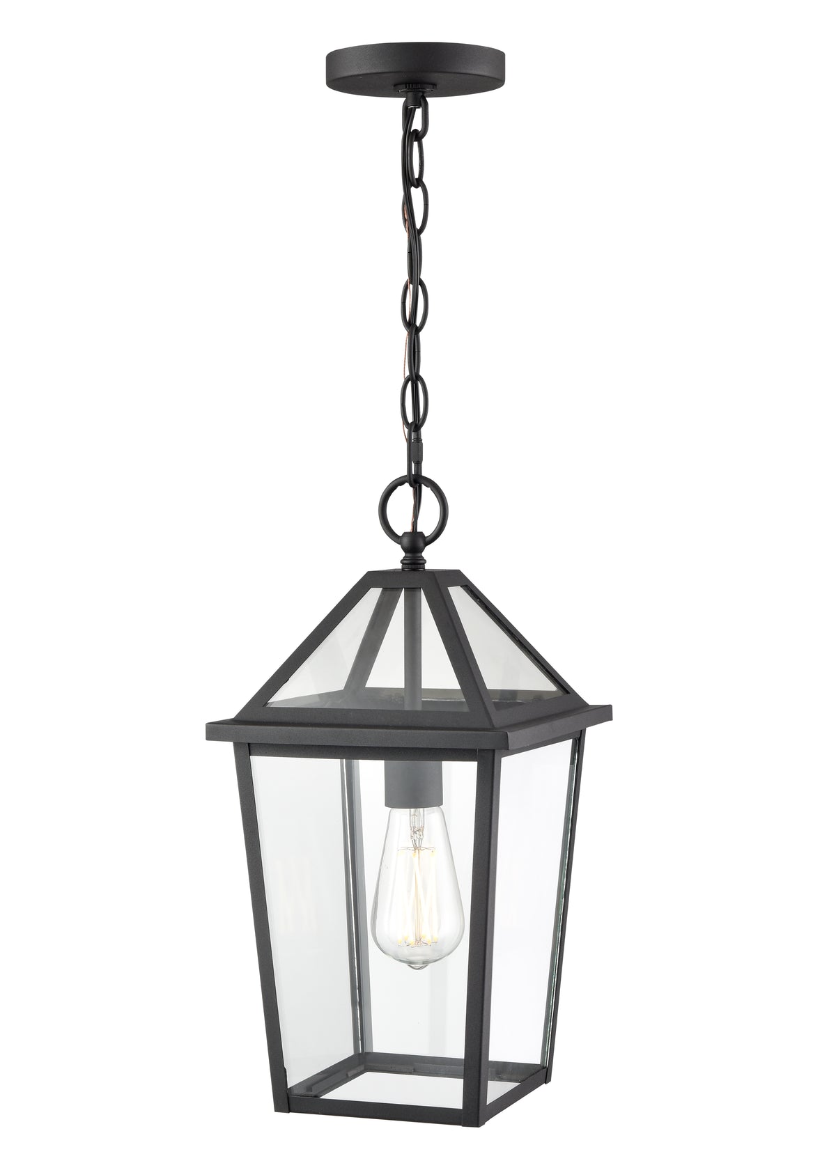 16.38'' Eston Textured Black 1 Light Hanging Lantern