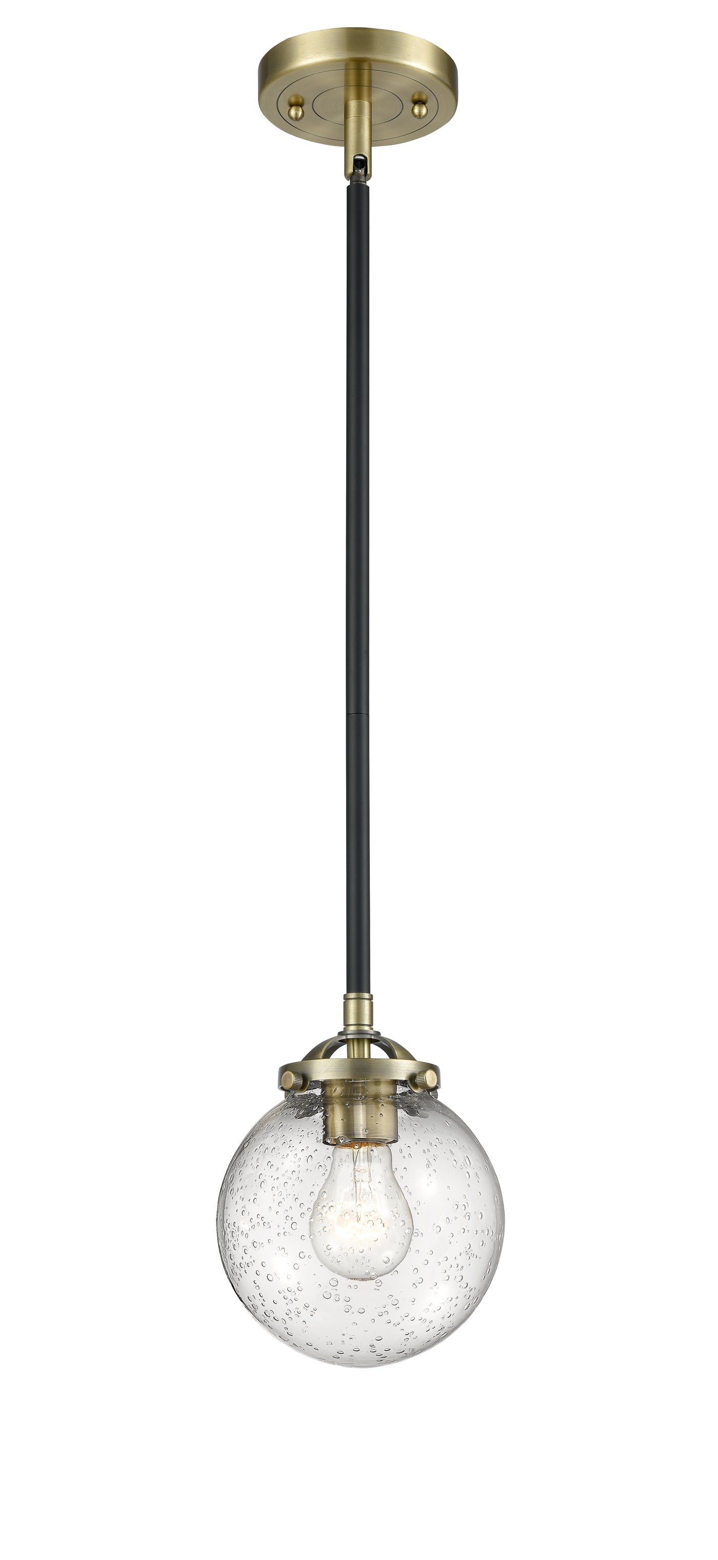 Nouveau Mini Pendant Black Antique Brass