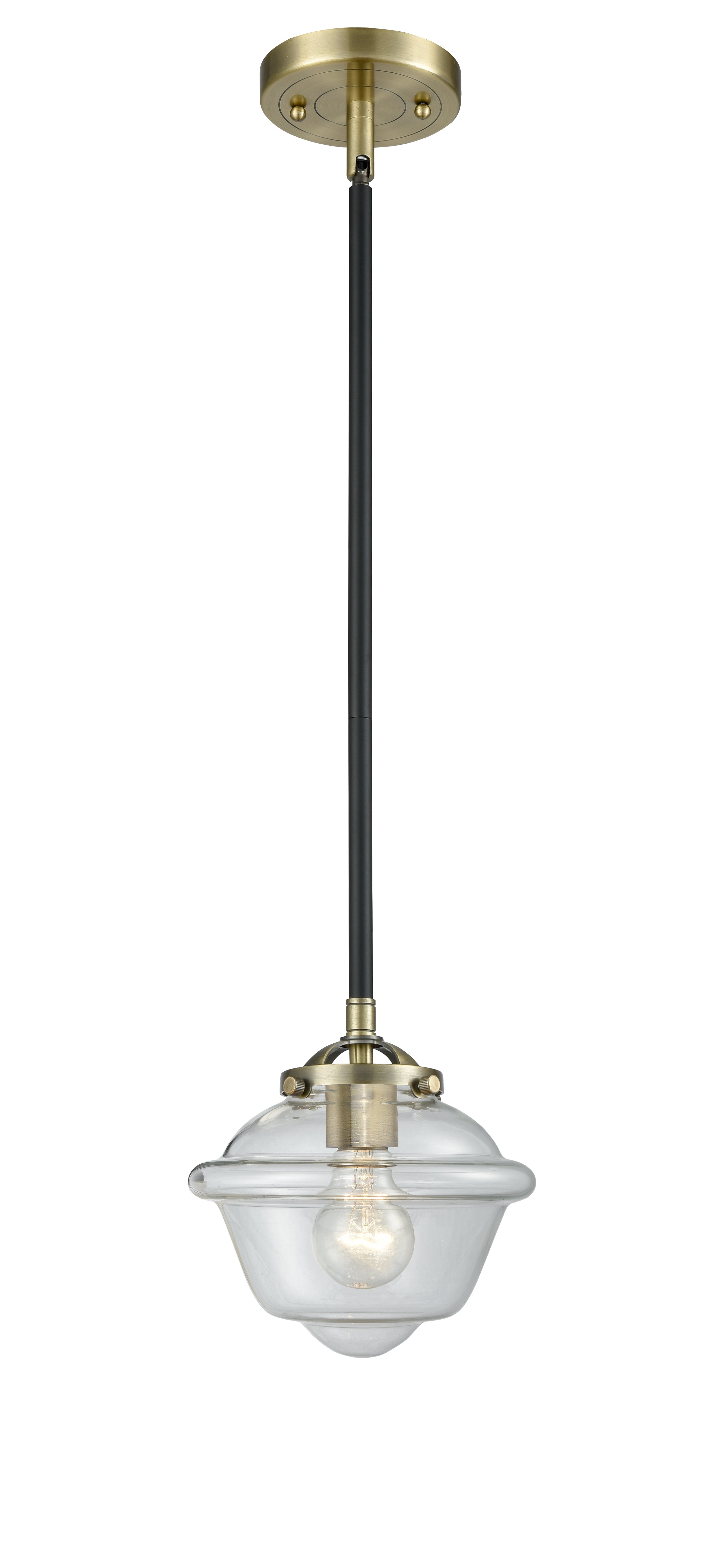 Nouveau Mini Pendant Black Antique Brass