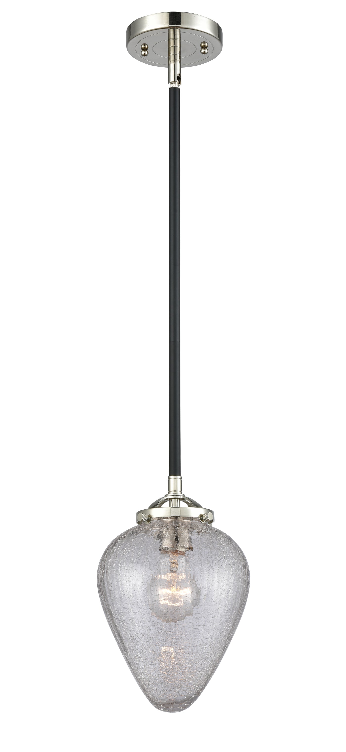 Nouveau Mini Pendant Black Antique Brass