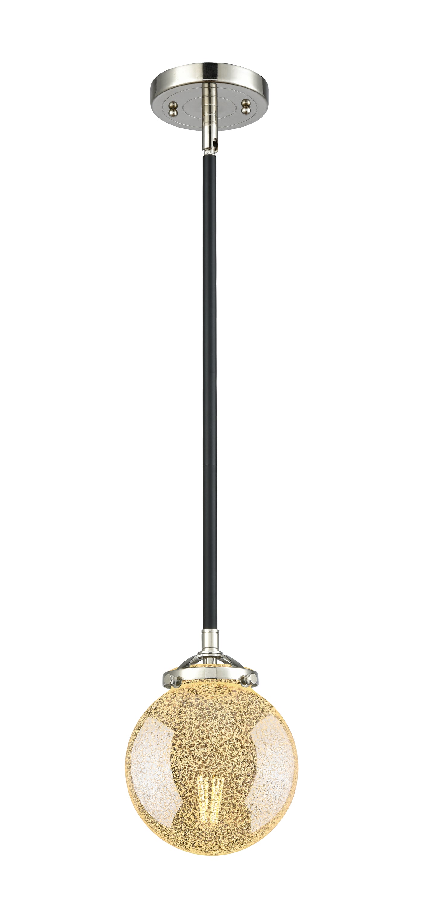 Nouveau Mini Pendant Black Antique Brass