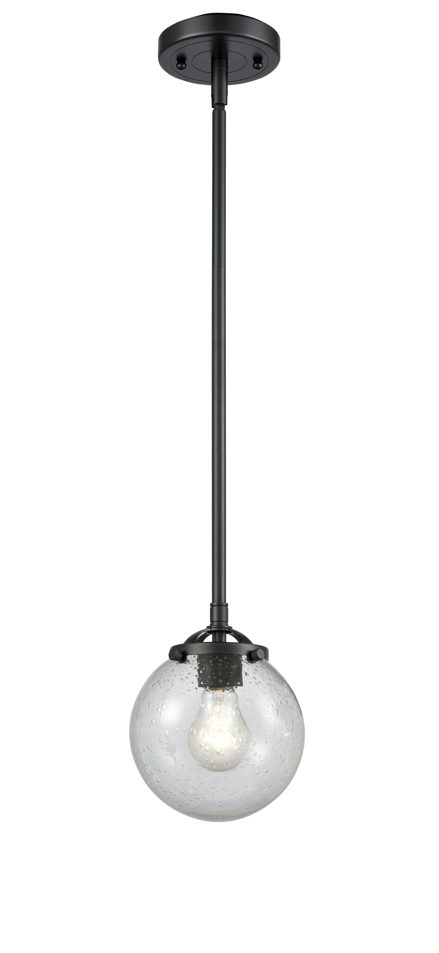 Nouveau Mini Pendant Black Antique Brass