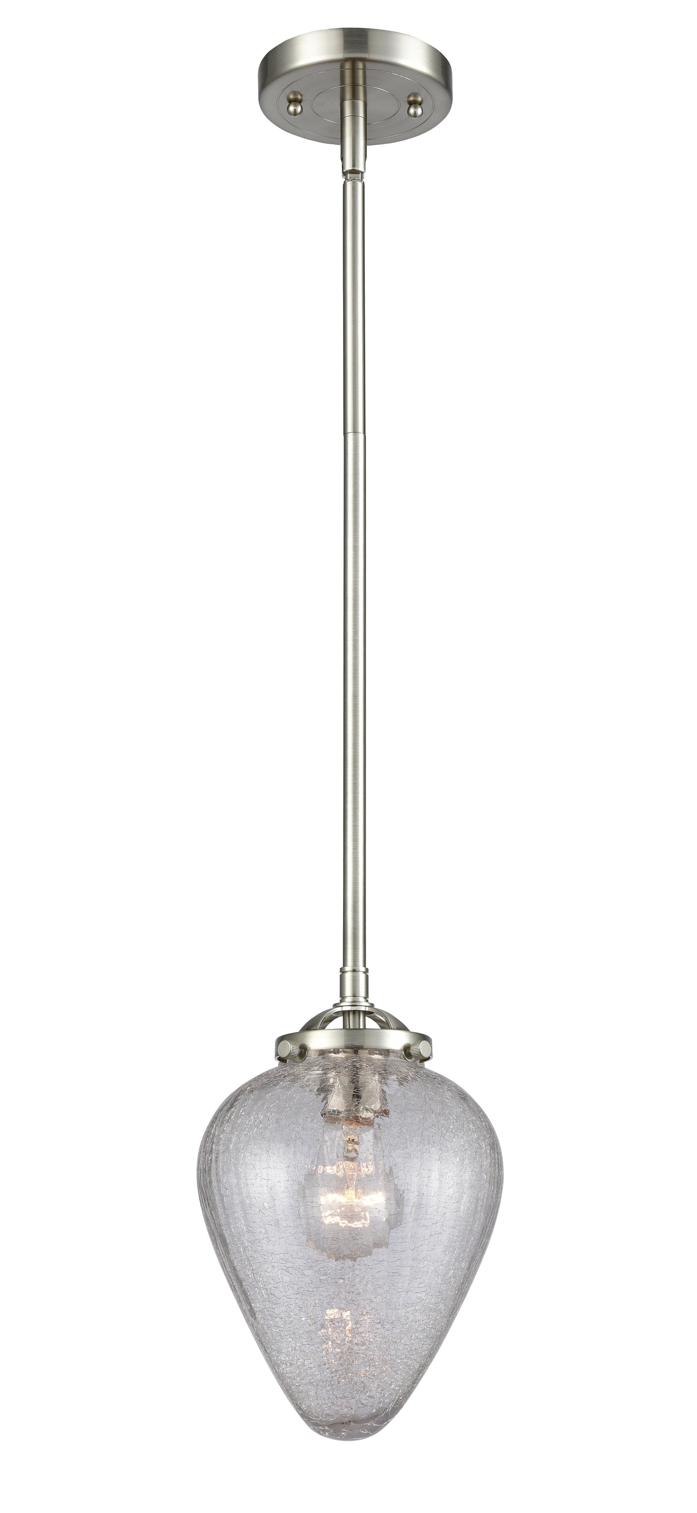 Nouveau Mini Pendant Black Antique Brass