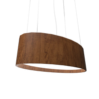 9.84'' Contemporary Oval LED Accord Pendant Light