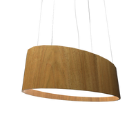 9.84'' Contemporary Oval LED Accord Pendant Light