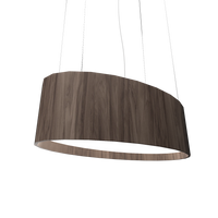 9.84'' Contemporary Oval LED Accord Pendant Light
