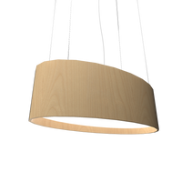 9.84'' Contemporary Oval LED Accord Pendant Light