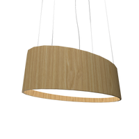 9.84'' Contemporary Oval LED Accord Pendant Light
