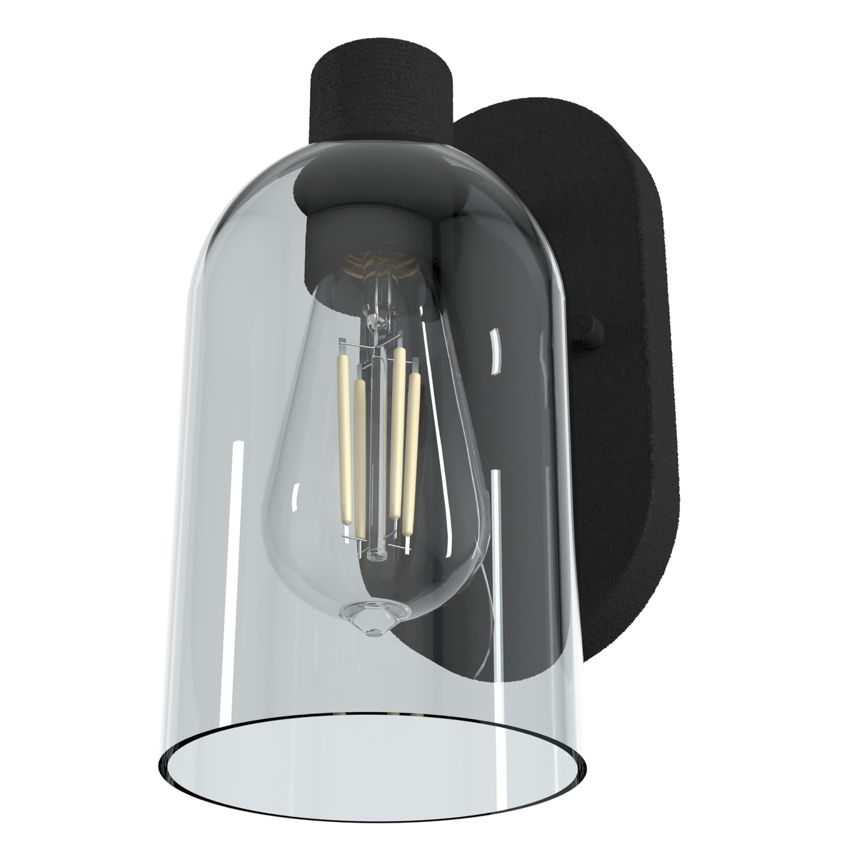 Lochemeade 10.25-inch 1-light Natural Black Iron Wall Sconce with Smoked Glass