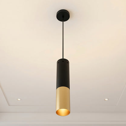 Anem 1 Light Satin Gold Mini Pendant with Matte Black Finish