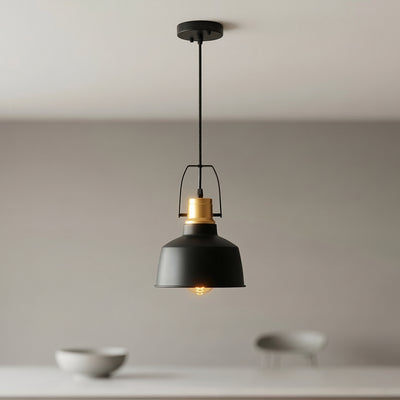Elisa 1 Light Black Pendant Down Pendant