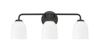 22.75'' Norah Matte Black 3 Light Bath Vanity