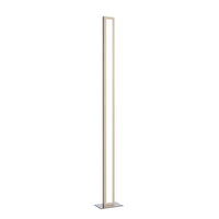 62.99'' Frame Accord Floor Lamp Light