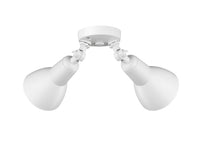 5.25''  Matte White 2 Light Flood Light